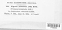 Image Associated With the Occurence